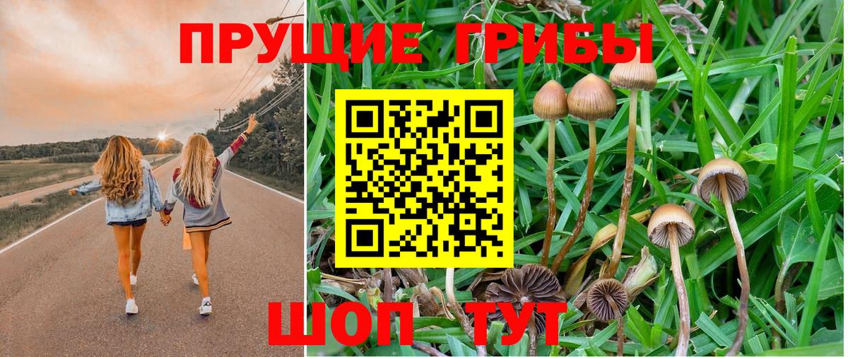 Псилоцибиновые грибы прущие грибы Бугульма