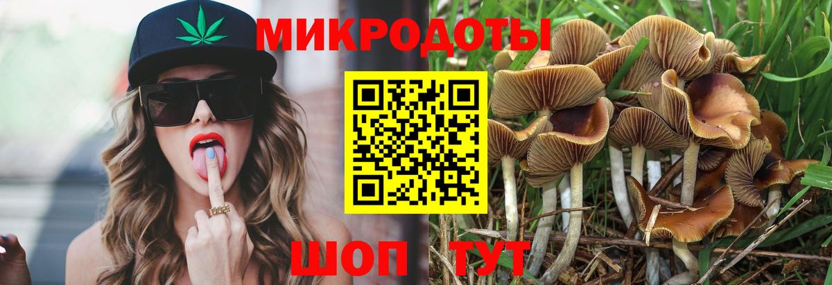 Бугульма  Галлюциногенные грибы прущие грибы  Вход с VPN 